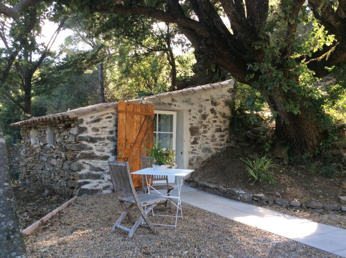 Collobrières La Petite Bergerie, Les Hautes Roches المظهر الخارجي الصورة