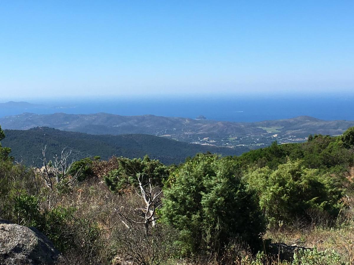 Collobrières La Petite Bergerie, Les Hautes Roches المظهر الخارجي الصورة